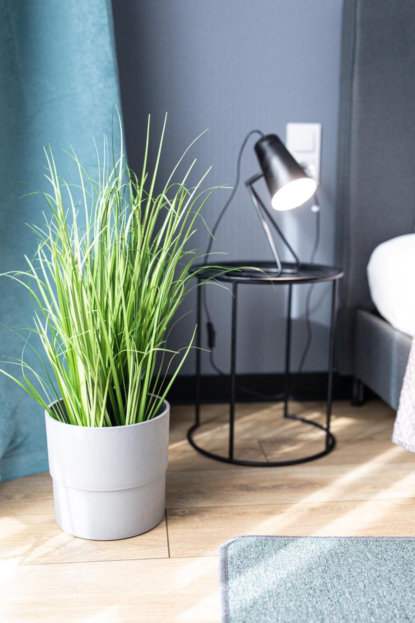 Lm Apartamenty Narutowicza Kamienica Nova 2-3 Szczecin Buitenkant foto